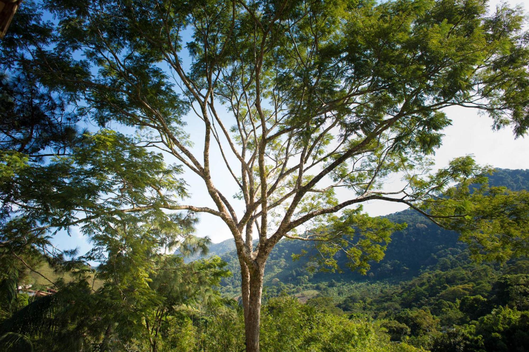 Pousada Cascata Casimiro de Abreu Bilik gambar